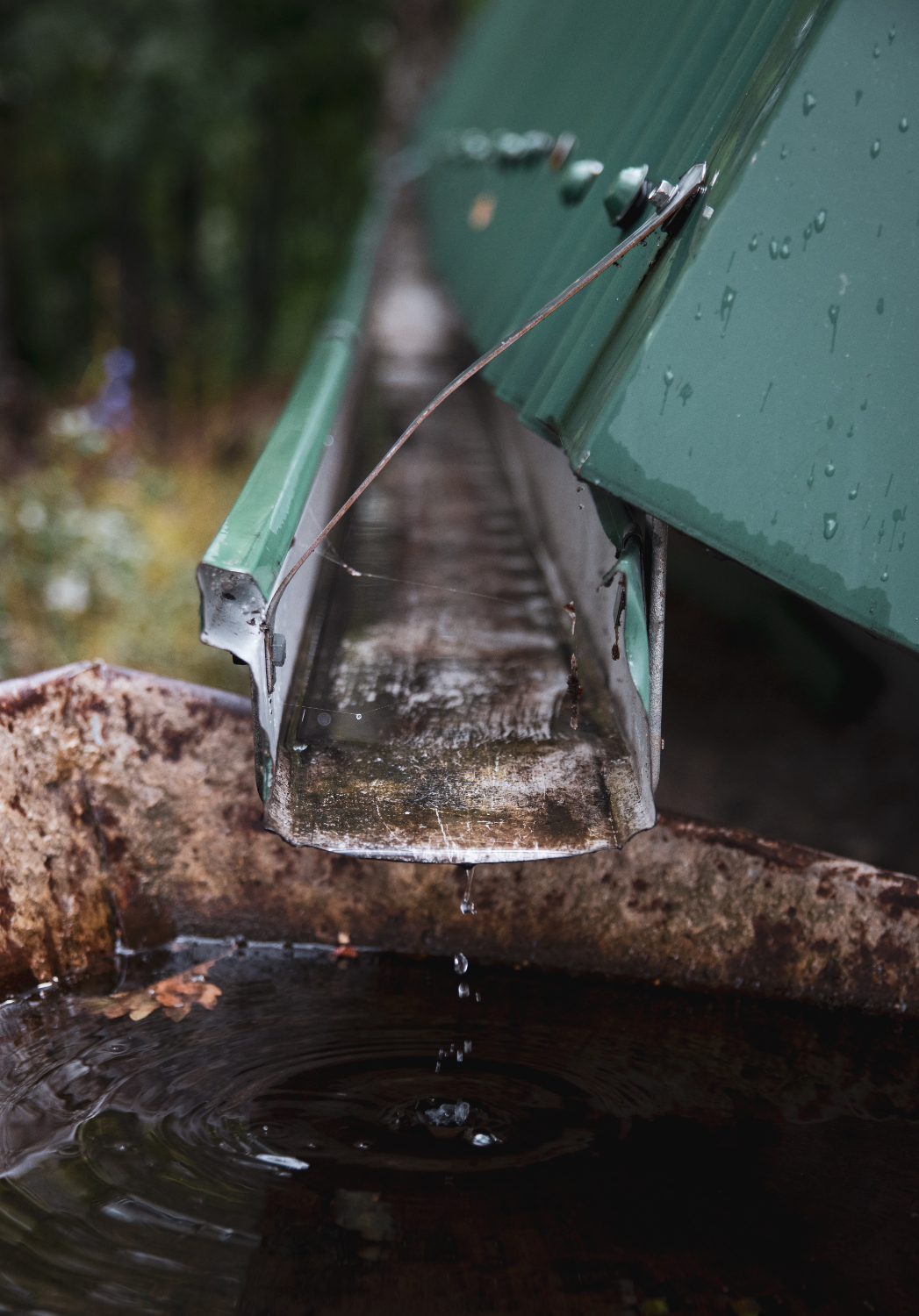 Quality Septic’s Checklist: Signs Your Septic System and Drain Field Needs Attention