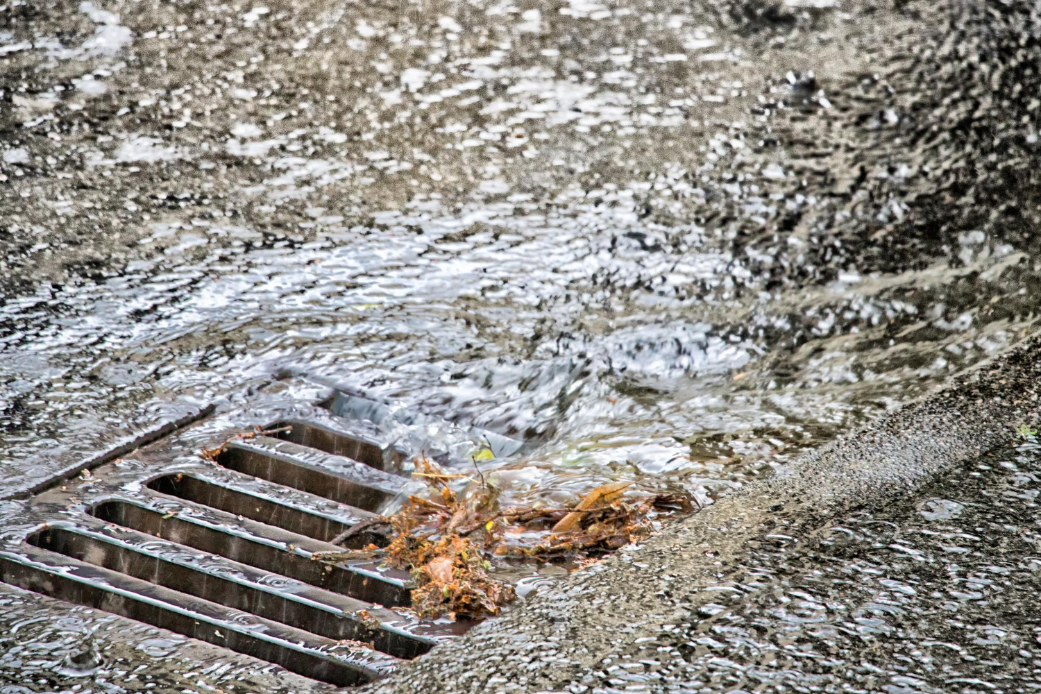 The Impact of Excessive Rain on Your Septic System