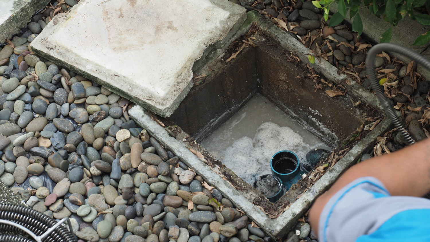The Link Between Drain Field Care and Septic System Longevity
